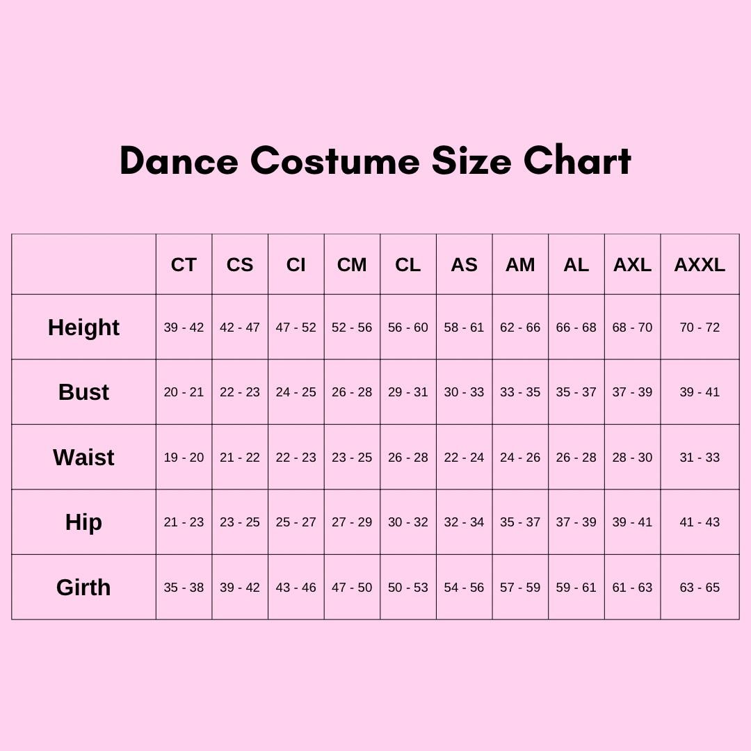 Cinderella Dance Costume – Girls Lyrical or Musical Theatre Solo Costume, Princess Competition Dancewear, Custom Stage Performance Outfit